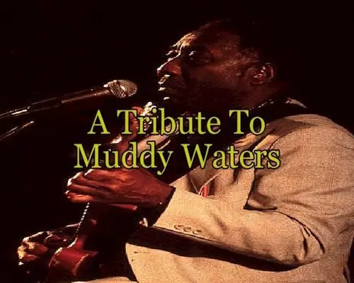 A Tribute to Muddy Waters (1998)