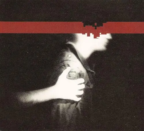 Nine Inch Nails - The Slip (Bonus DVD) (2008)