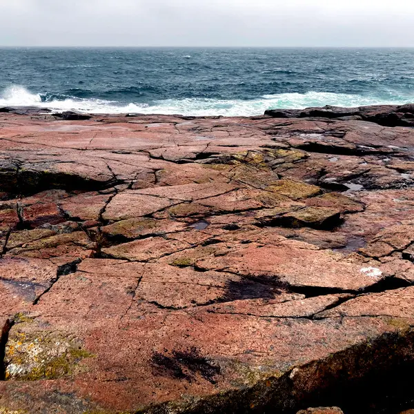 Queens of the Stone Age - Way Out West (2025)