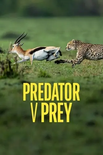 Хищник против жертвы / Predator v Prey (Сезон 1, серии 3 из 3) (2024)